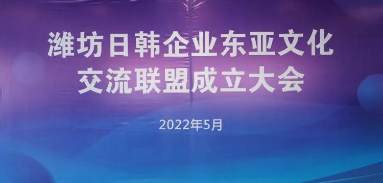 韩国与日本，文化交流与现代合作的双轨发展
